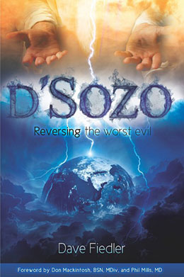 dsozo-cover-small